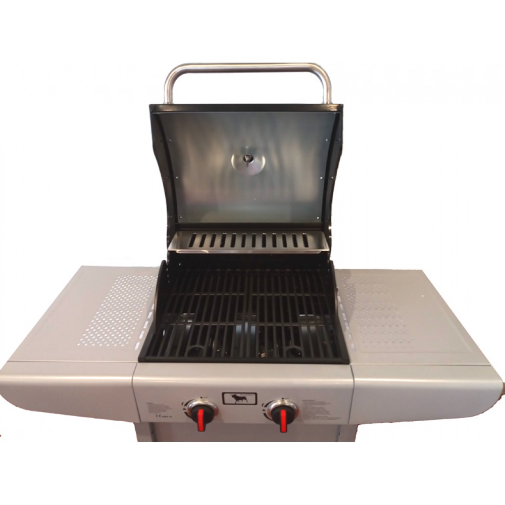 Ψησταριά Υγραερίου Blackbull Grilly 0102BLB